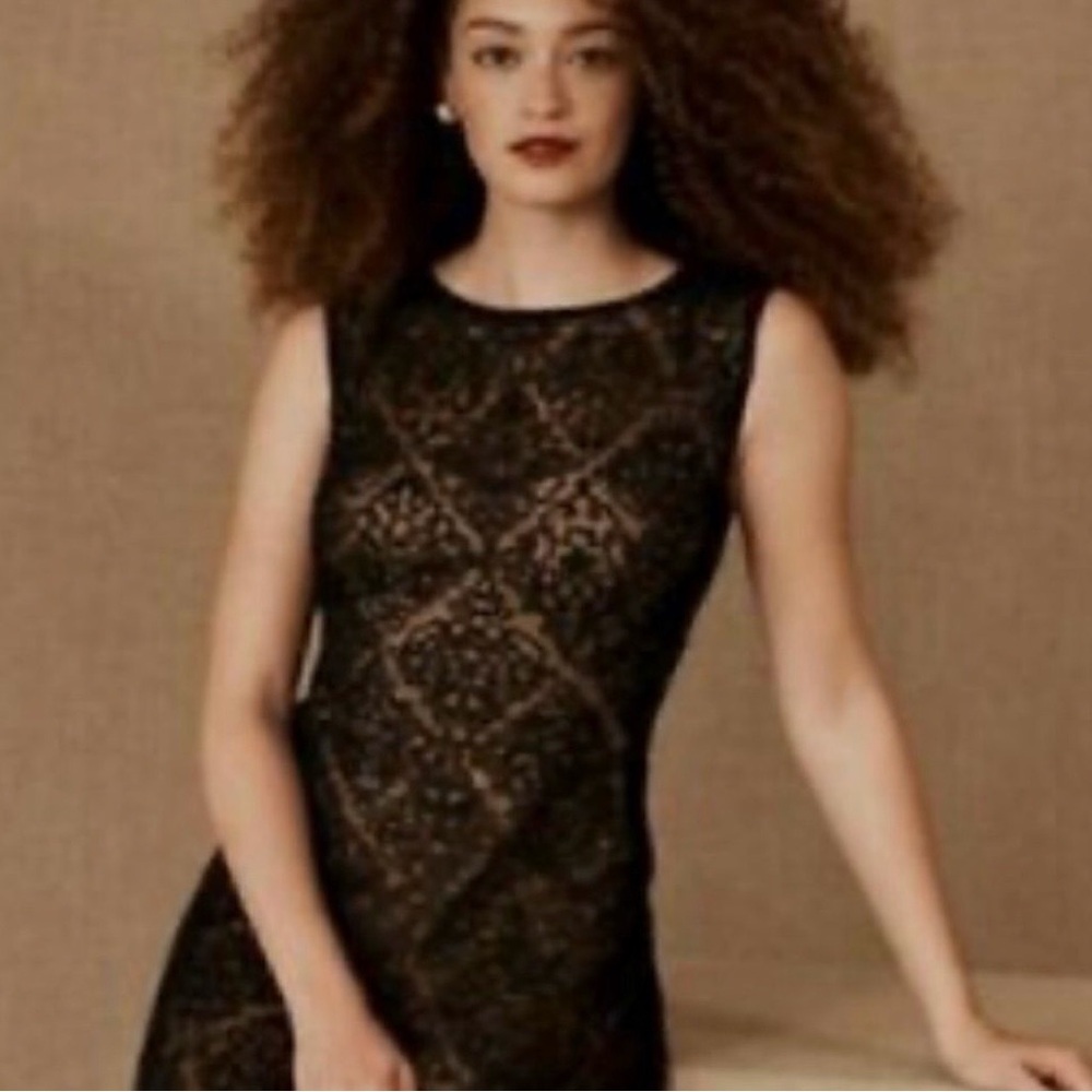 Tadashi Shoji Durand Lace Dress size 12 Sho The Label BHLDN - Picture 10 of 12